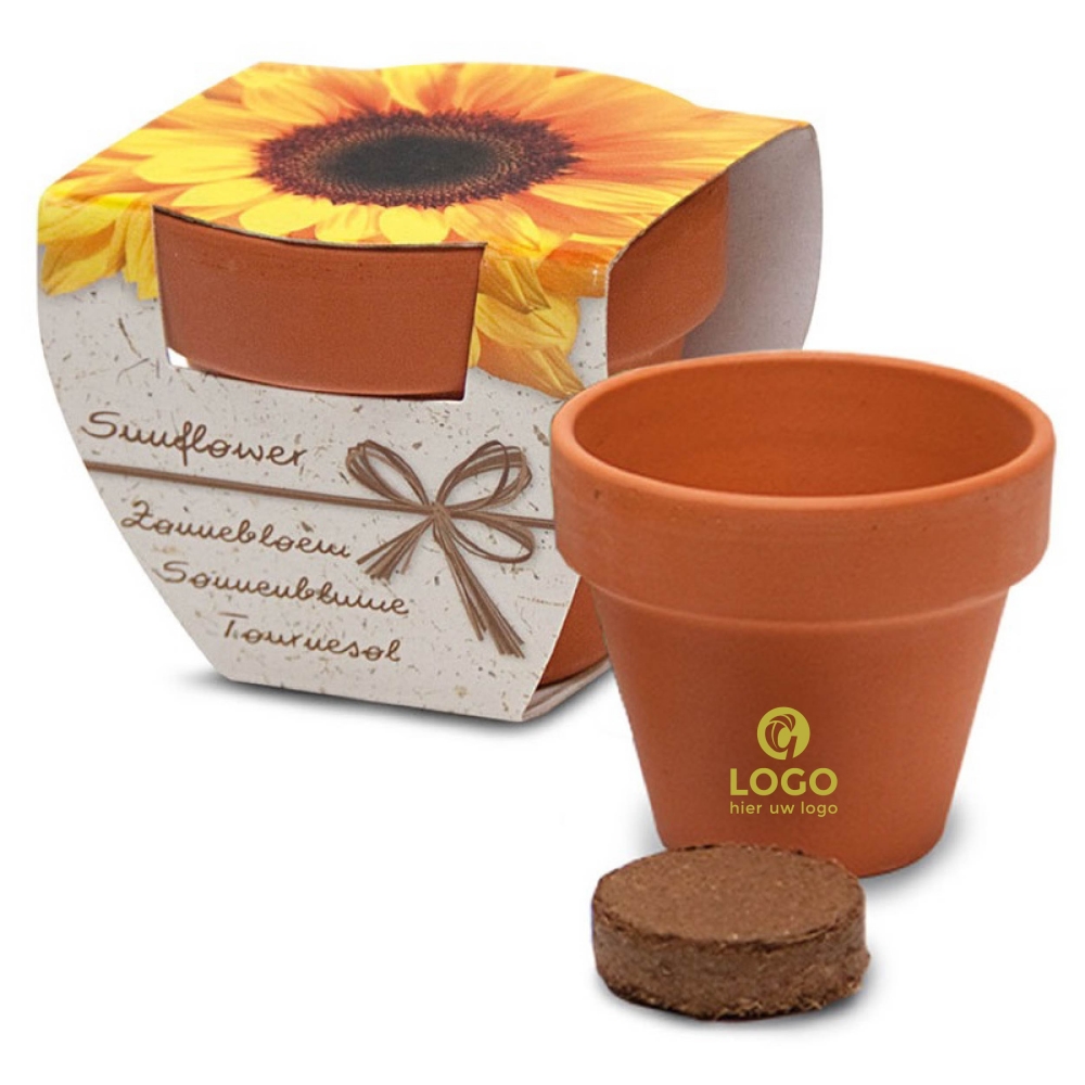 Flower in pot | Eco promotional gift